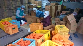 そして最終段階、家族みんなで箱詰め作業(^^)v

BGMにﾉﾘﾉﾘで箱詰めしました♪
お外は寒いけど、ﾊｰﾄは熱い山本家でありました(^^)v