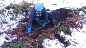 かっちゃんが、土の中に埋まっているパイプを掘り起こしております！
何が出るかな♫何が出るかな♫
ﾁｬﾗﾁｬﾁｬｯﾁｬ~ﾁｬﾗﾁｬﾁｬ~♫
