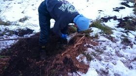 ジャジャ～ン☆★☆
『自然薯～』
略して～
『山芋～♪』