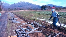 これは一部ですが、畑にはた～くさんの
パイプが埋まっていました（＾＾）
掘り起こすかっちゃんは汗だくになっていました(^^;　かっちゃん、お疲れ様♡