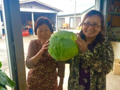 タイトル　『頼もしいキャベツさん』