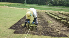かっちゃんも結束するんですよ～（＾＾）ｖ
かっちゃん＆せっちゃんは、やはり結束ペースが早い！！

まだまだペーペーの次女・三女は敵いません・・・（-_-；）ｸｿｯ・・・・