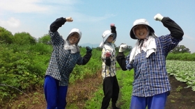 
愉快な仲間達のお仕事開始！

「これから追肥！！
頑張るぞぉ～（＾＾）ｖ　
おぉ～！」