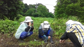 肥料をやった後は、耕運機でただただひたすら耕していきます・・・

最後は尋常じゃない暑さで撃沈・・・・
ﾁｰﾝ・・・・orz・・・・