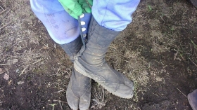 『～階級～』
我が家には、それはそれは厳し～い階級がありまして・・・（＞＿＜）
ﾍﾞﾃﾗﾝは二股のﾎｯｸ式地下足袋！
時々二股の間に草が挟まっています。
これもﾍﾞﾃﾗﾝが成せる技（笑）