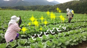 「ビｨ～～～ムｯ！！！」

せっちゃんめがけて攻撃してやったぜぃ！
参ったかっ(^^)
