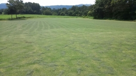 散髪後の芝畑です(^^)b
芝の葉が散らばっているのがわかります？
お天気が良いと、すぐに葉がカラカラになるんですよ～(^^)