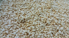 さっきまで硬かったお米が、ポンポン菓子に変身しましたぁ(^o^)v
我が家のおやつとなりました♡