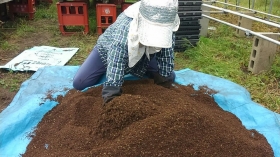まずは土作り♪
我が家は『こだわり製法』なので、この土作りが一番のポイントです(^皿^)
ﾏ~ｾﾞﾏｾﾞ~♪ ﾏ~ｾﾞﾏｾﾞ~♪　
次女と三女の大合唱がハウスに響きます（笑）