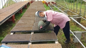 ポットに土を入れ、種が入る窪みをコロコロ作っています♪
はいっ！次女の満面の笑み頂きましたぁ～(^^)v