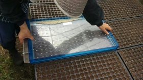 コーティングしたキャベツの種を200個の穴に入れ、一気にポットの中に落とします♪
ガッチャンッ!!! 　ポトッ!!!