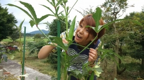 採りそびれたオクラさんが、グングンと大きくなっていました(^^;

オクラのサイズも凄いですが、次女の顔も負けてはおりませんでした・・・(-_-;

どこまで大きくなるか、しばらく観察しようと思います(^o^)ゞ