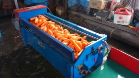 以前ご紹介した、人参洗浄機『モテモテ君』の登場！
ｺﾞﾛｺﾞﾛ磨かれておりますm(_ _)m