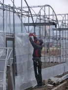 今年からハウス栽培も始めます。
８月の初めからお盆まで位の間販売できる予定です。（シャインマスカット・ピオーネのみ）