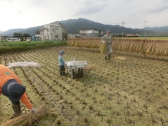 ちっちゃいお手伝いさんも活躍