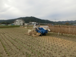 思たよりはやくできました。