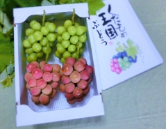安芸クイーン(ピンク)とシャインマスカット。