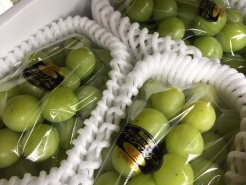 シャインマスカット/晴王