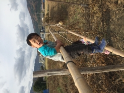 お手伝いをしてくれました