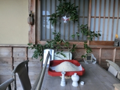 農家のお正月です。
くわを置き黒豆をふくらしに結んで飾ります。
