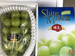 シャインマスカット/晴王