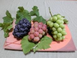 ニューピオーネ・安芸クイーン・シャインマスカット