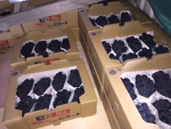 ピオーネの出荷