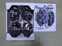 ニューピオーネ