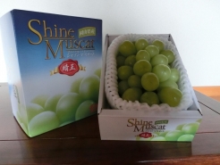 シャインマスカット化粧箱