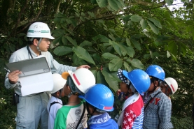 こちらのおおきな葉っぱは、なんでしょう？