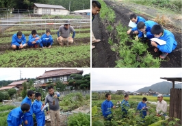 植林用苗の生産者宅を訪問し、苗木についての勉強