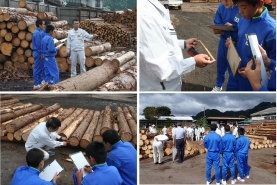 岡山県森林組合連合会勝山共販所にて木材市場のせり売りを見学