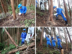 初日に体験した年数の若い木を手入れする保育作業とは違い、ある程度大きくなったヒノキを間伐（伐倒）する作業を行いました。