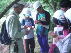 森林インストラクター指導による樹木判定