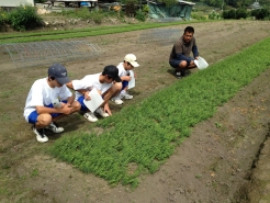 豆原寛一氏　苗圃