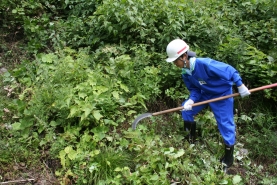下刈り　作業体験（菅谷地内）