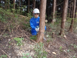 間伐　作業体験（樫西地内）