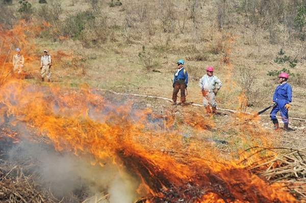 復活初年(2017年)の山焼きの様子