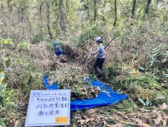 天谷湿原での草刈・集草作業