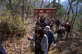 途中の稲荷神社の朱色の鳥居を通過する参加者