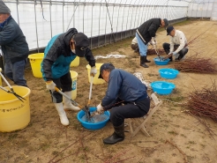 中津井の営農施設内での水切り状況