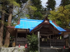 正面からの様子です。