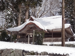 原因となった、今年1月の大雪です。