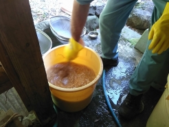 お湯の準備も概ね整ったところでスタート！まずは塩水にモミを全て入れます。入れたらすぐにかき混ぜます。