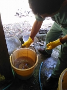 すると、すぐに沈むモミと浮き上がるモミに分かれます。浮き上がったモミは、ざるで速やかに回収し、選別します。