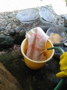 選別が終わったら、すぐに水ですすぎます。ここで洗濯ネットみたいな袋が登場。ここにモミを入れて、湯温消毒へ。この袋に入れているおかげでモミが飛び散りません。便利♪