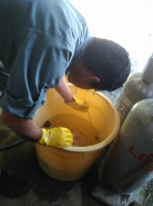 袋のまま、お湯の入ったバケツへ入れ、湯温消毒に移ります。この湯温消毒は、「イネばか苗病」「いもち病」「苗立ち枯れ細菌病」など、細菌性の病気を防除するために実施するものです。
この湯温消毒の利点は、農薬を使用せずにモミを消毒できるところ。ここから温度計とにらめっこが始まります。８分間程度ですが、６０℃をキープするため、温度が下がればすぐにお湯を足します。