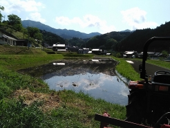本日は、荒がきを実施します。まずは田んぼへ移動します。今日は天気が良いですね♪