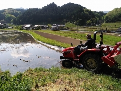 まずは農家の方にやり方を見せていただきました。トラクターというのは、かなり旋回性能が良く、田んぼのギリギリでも回ることができます。