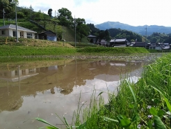 そうこうしているうちに、無事に荒がきが終わりました。とにかく天候に恵まれ
た一日でした。次回は田植えに挑戦です！！